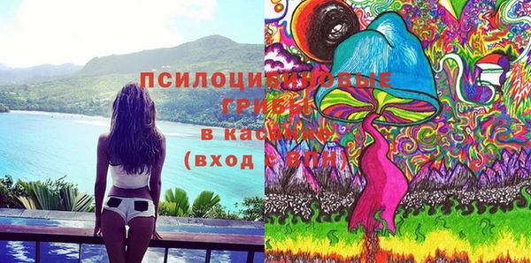 гидропоника Белоозёрский