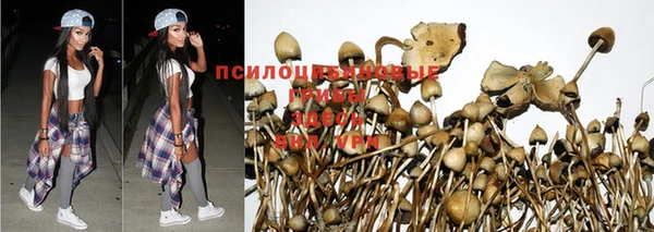 кокаин колумбия Протвино