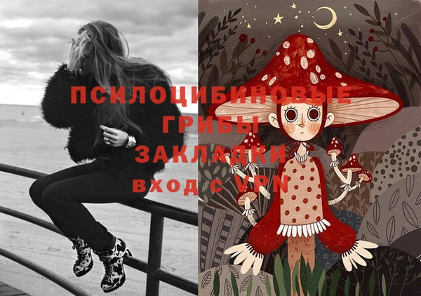 гидропоника Белоозёрский