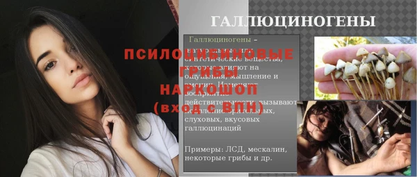 спиды Белокуриха
