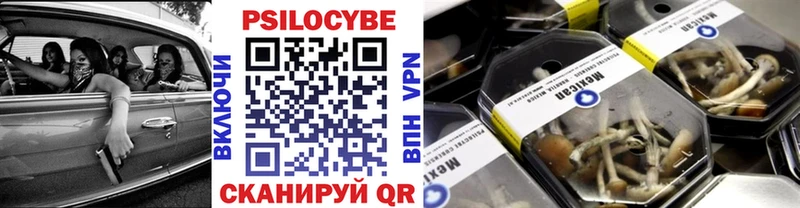 Псилоцибиновые грибы Psilocybine cubensis  Очёр 